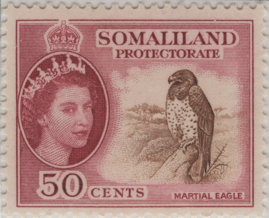 Martial Eagle on Elizabeth II Definitive