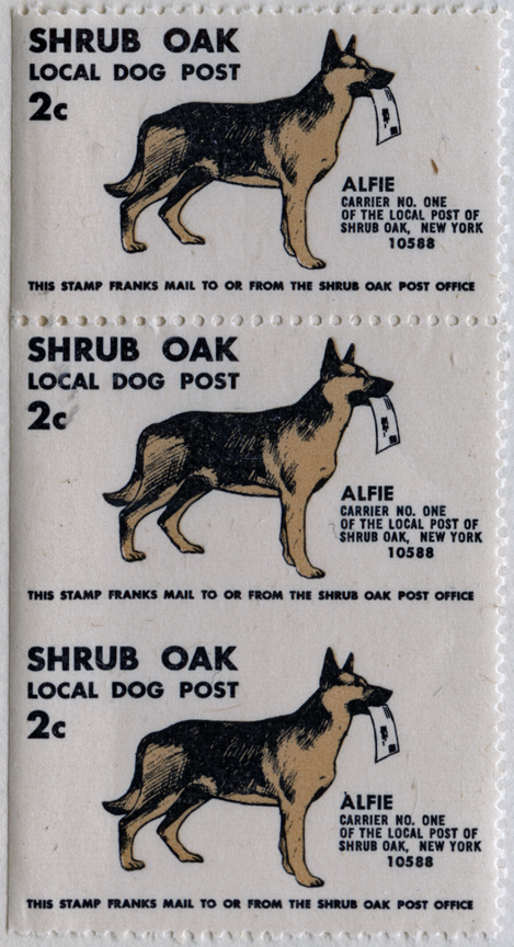 Shrub Oak Local Dog Post Label